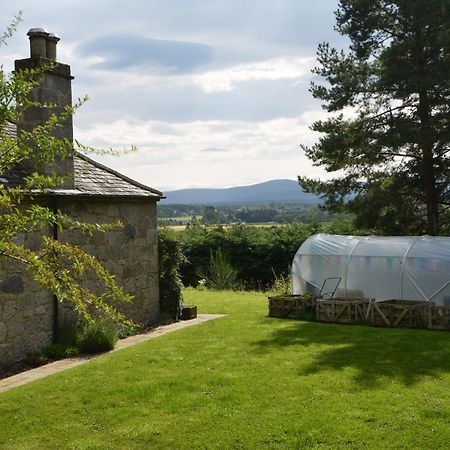 Amazing Cottage With Private Indoor Swim Pool And Hot Tub Grantown-on-Spey 외부 사진