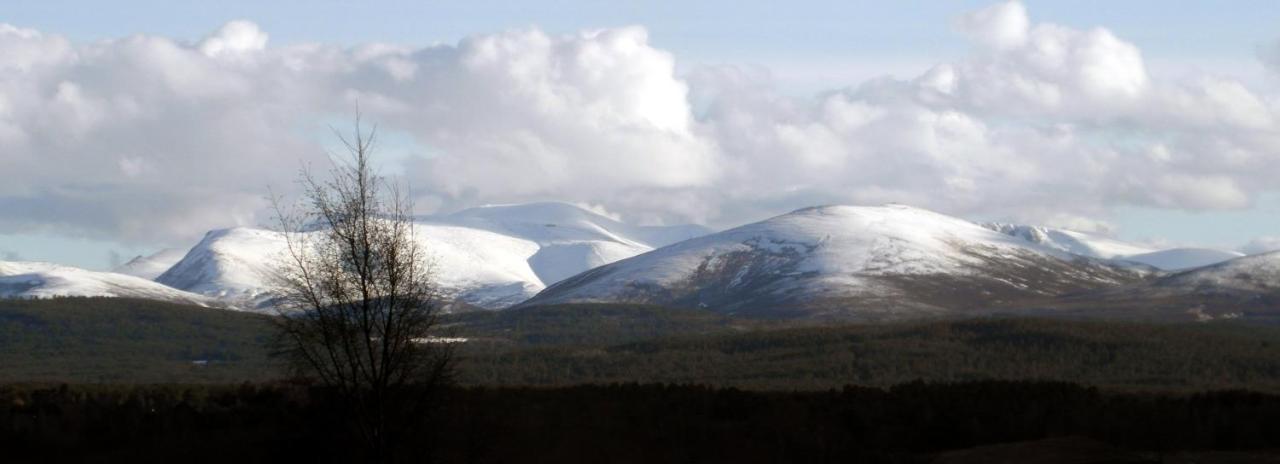Amazing Cottage With Private Indoor Swim Pool And Hot Tub Grantown-on-Spey 외부 사진