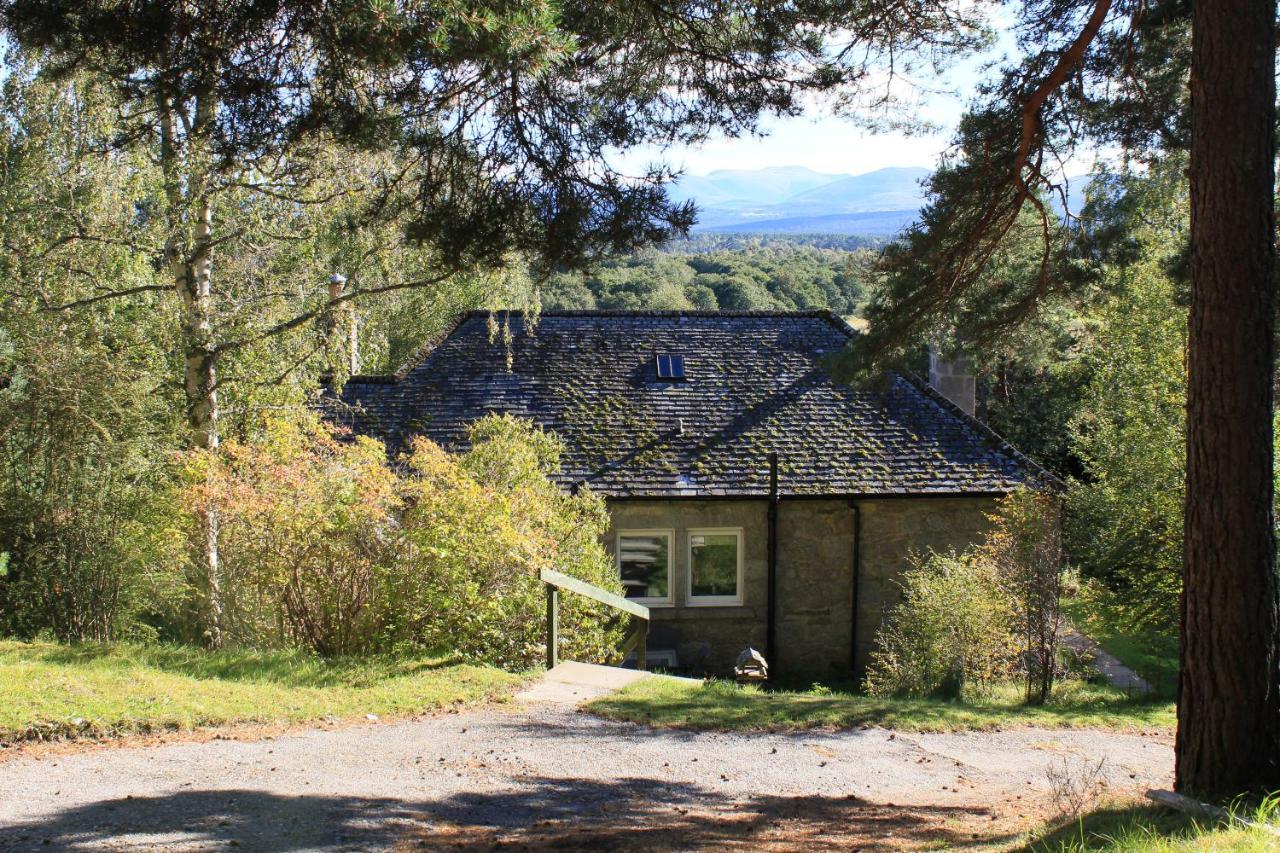 Amazing Cottage With Private Indoor Swim Pool And Hot Tub Grantown-on-Spey 외부 사진