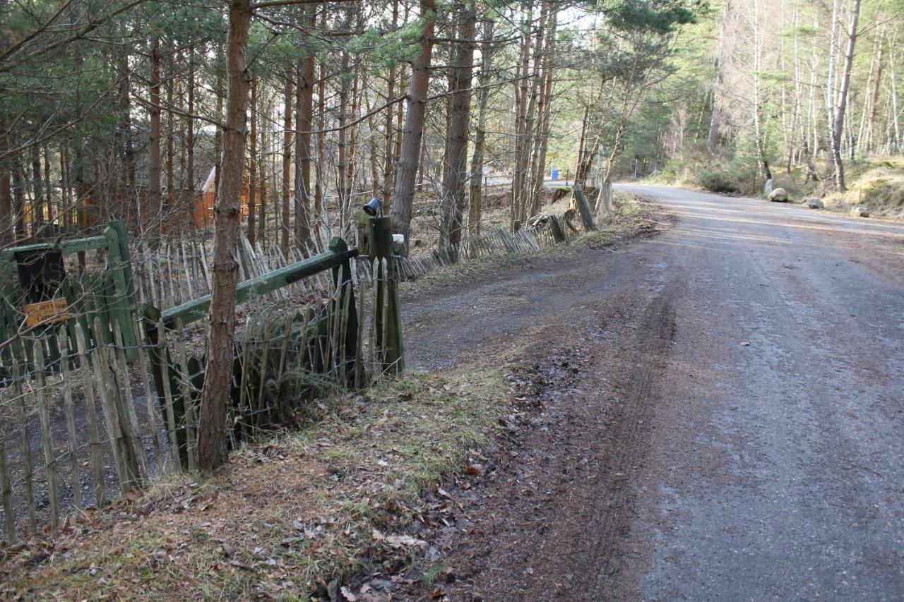 Amazing Cottage With Private Indoor Swim Pool And Hot Tub Grantown-on-Spey 외부 사진