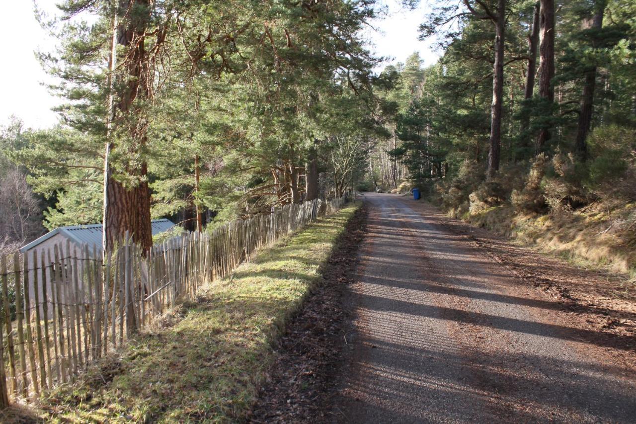 Amazing Cottage With Private Indoor Swim Pool And Hot Tub Grantown-on-Spey 외부 사진