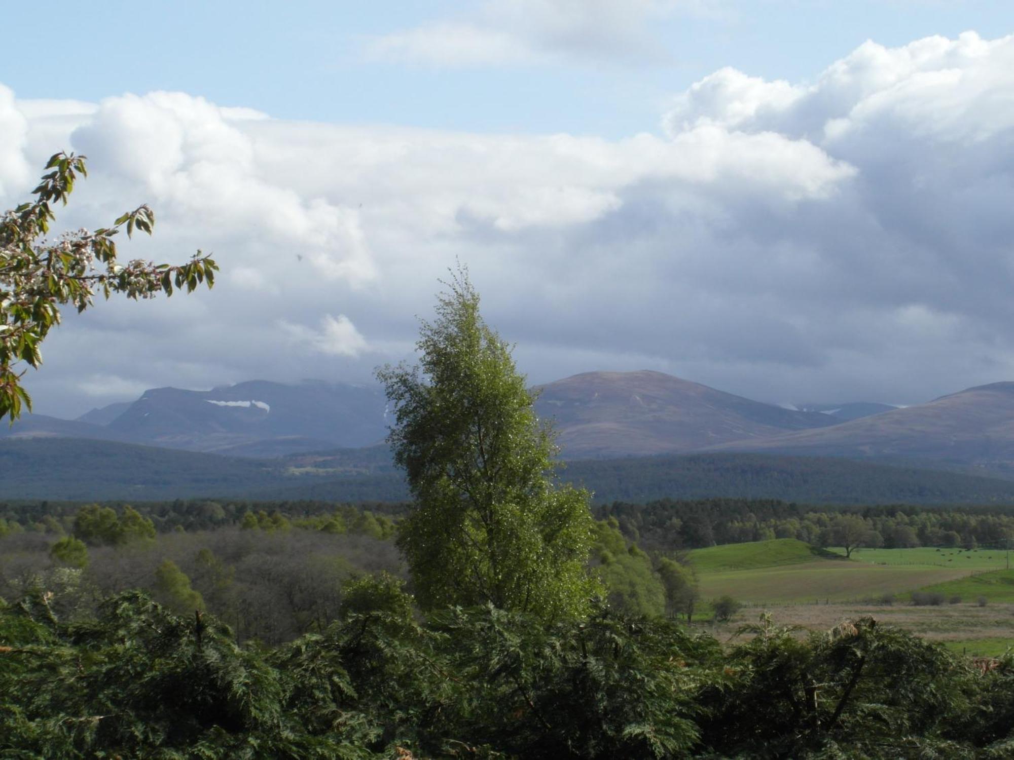 Amazing Cottage With Private Indoor Swim Pool And Hot Tub Grantown-on-Spey 외부 사진
